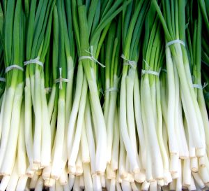 Green onion 