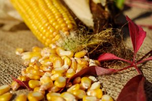 Corn