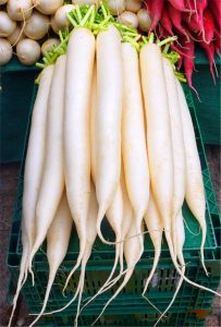 White Radish